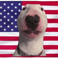 $PAWTRIOT