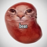 beancat logo