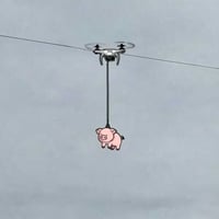 Flying Drone Pig