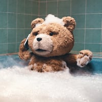 TED logo