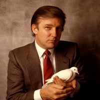 The Original Trump