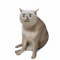 CCNPC