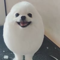 Token Icon