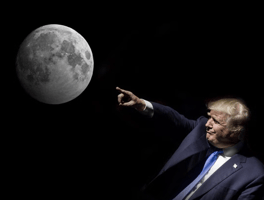 MoonTrump token logo