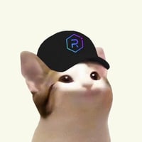 RAYCAT logo