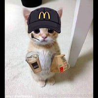 MCcat