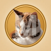 Mikacoin