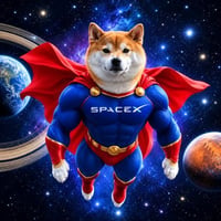 Super Inu SpaceX