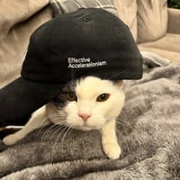 e/cat 标识