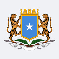 Somalia Meme Coin