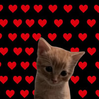 LIKECAT logo