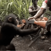 OpenClaw root access