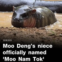 MOO NAM TAK/SOL