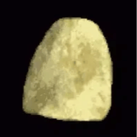 Potato Chip