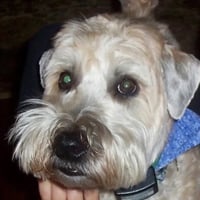 Duke