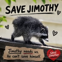 SAVE JIMOTHY THE RACCOON
