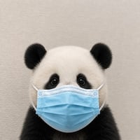Pandamic
