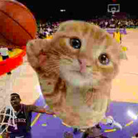 BALLIN