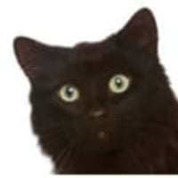CATS logo