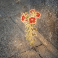 The Nietzschean Calibrachoa
