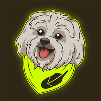 Robinhood Dog