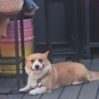 DsNS8qiy4Cgoz682DFyHoULwe23m3hFjnW1aXXupump