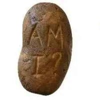 Potato