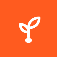 Seed