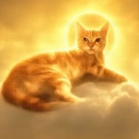 FIRESTAR logo
