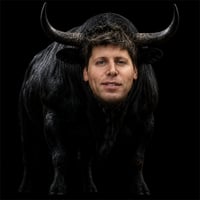 The Scam Bull