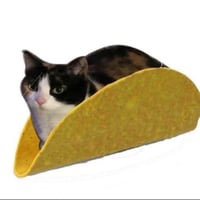 TACOCAT