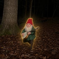 Gnomes