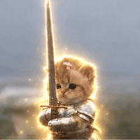 cat wif sword