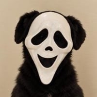 MASK logo