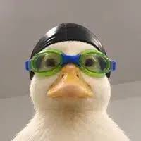 Nasduck