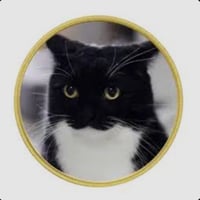 unicoin