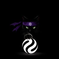 ninjacat