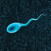 QUANTCUM