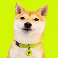 KITSU