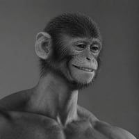 Ape Chad