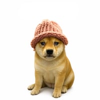 Dog Wif Cash