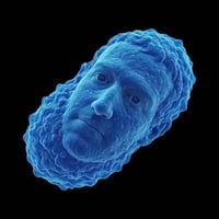 METABACTERIA