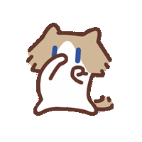 抖音爆火小猫表情包
