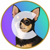 Chihuahua Coin