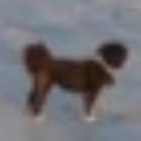 Marvin