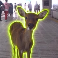 The Kafkaesque Deer