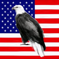 AMERICA logo