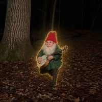Gnomes