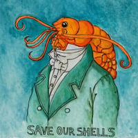 Shells