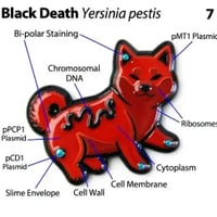 PLAGUE